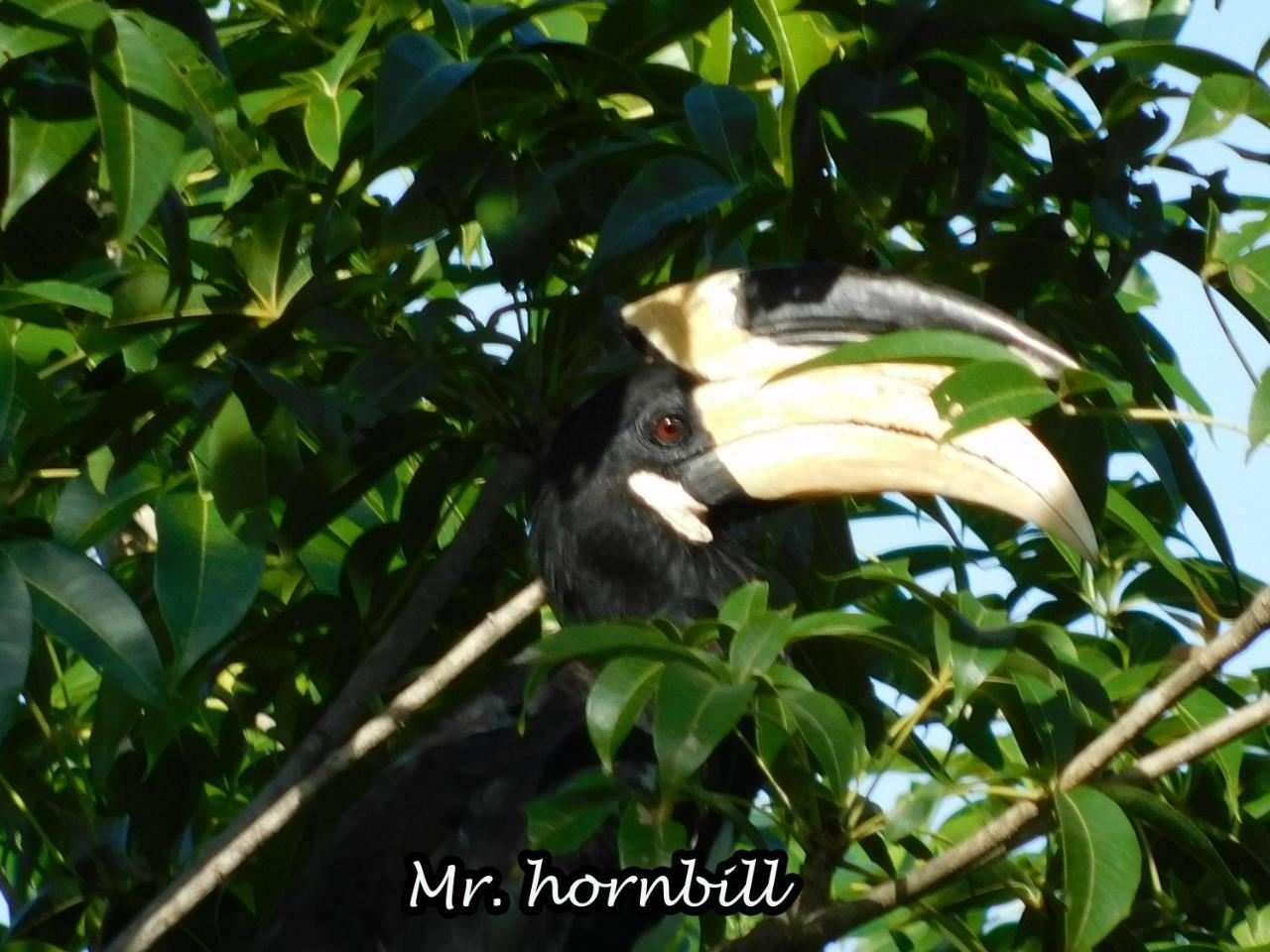 Yala Avian Eye Safari Daire Buttala Dış mekan fotoğraf