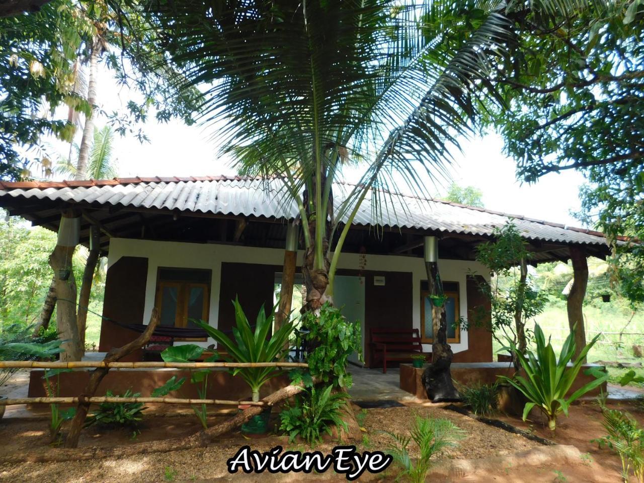 Yala Avian Eye Safari Daire Buttala Dış mekan fotoğraf